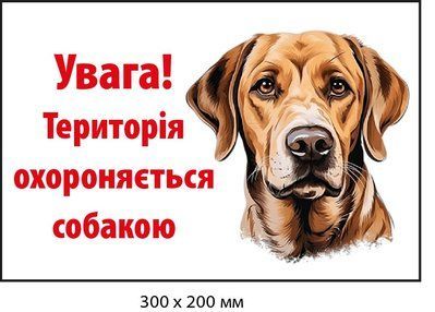 Табличка "Территория охраняется собакой" с рисунком (д-9269) д-9269 фото