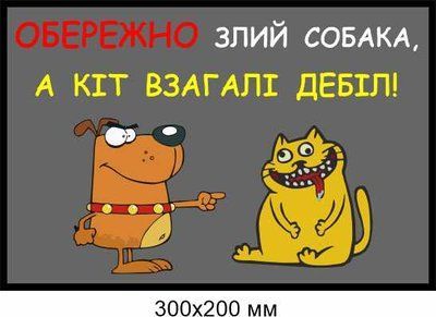 табличка во дворе злая собака 300х200 мм д-8907 д-8907 фото