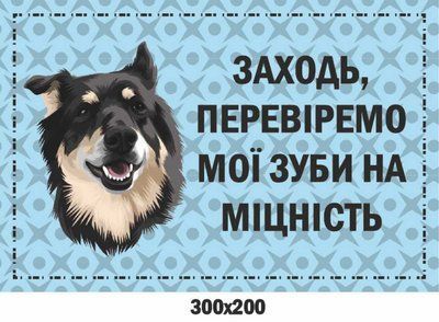 Табличка с предупреждением Злой пес (с шуткой) 300х200 мм д-9254 д-9254 фото