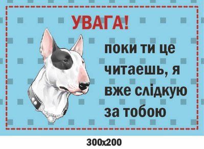 Предупреждающая табличка Осторожно, злой пес! 300х200 мм д-9256 д-9256 фото